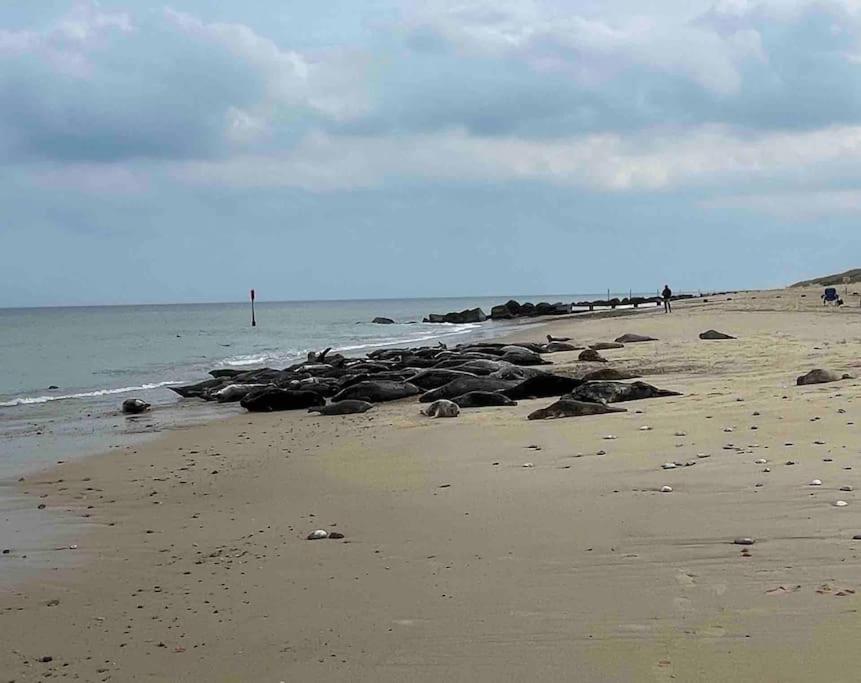 Bermuda Sands * Hemsby