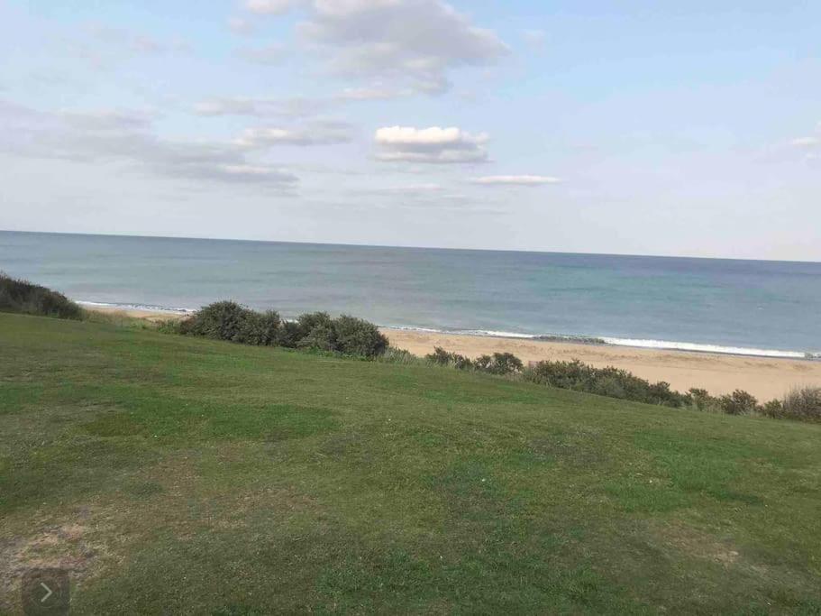 Bermuda Sands